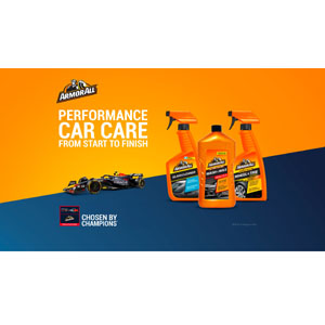 Free Armor All® Car Cleaning Kit