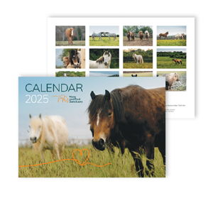 Free Mare&Foal Wall Calendar